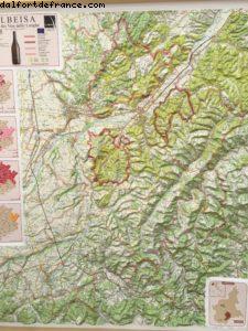 Wine Tasting - Barolo