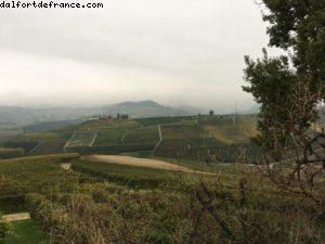 Palas Cerquio - La Morra