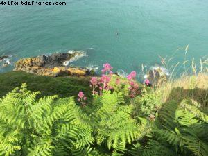 Hiking from Bray to Greystones