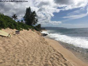 Turtle Beach - North Shore - Oahu