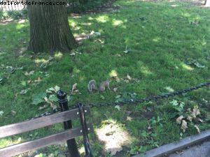 Washington Square - New York