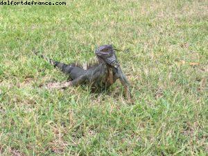 RIU Palace - Anse Marcel - Saint Martin - French West Indies 