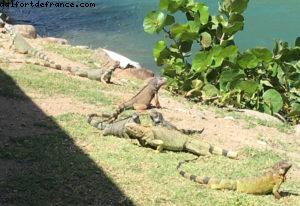 RIU Palace - Anse Marcel - Saint Martin - French West Indies 