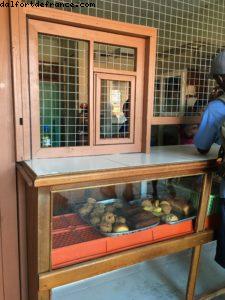 Castries - Notre 55eme croisière Atlantis (à bord du Celebrity Summit)