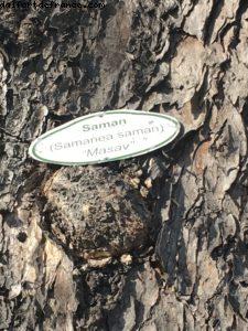 Castries - Notre 55eme croisière Atlantis (à bord du Celebrity Summit)