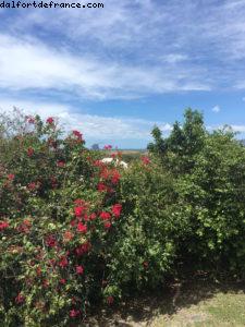 Le Diamant - Notre 55eme croisière Atlantis (à bord du Celebrity Summit)