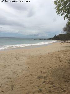 Petite Anse des Salines - Notre 55eme croisière Atlantis (à bord du Celebrity Summit)