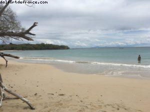 Petite Anse des Salines - Notre 55eme croisière Atlantis (à bord du Celebrity Summit)