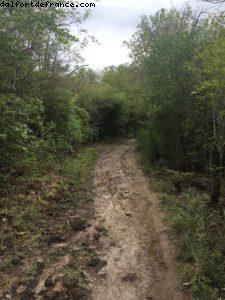 Chemin d'accès à la Petite Anse des Salines - Notre 55eme croisière Atlantis (à bord du Celebrity Summit)