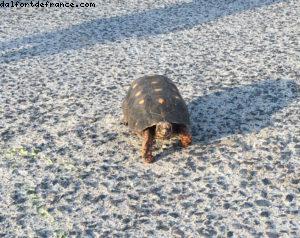 Anse de la grande Saline - Notre 55eme croisière Atlantis (à bord du Celebrity Summit)