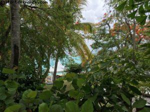 La Samana - St Martin