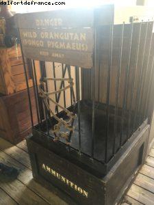 Gay Days @ Magic Kingdom - Walt Disney World