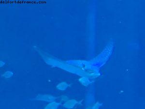 Epcot - Walt Disney World