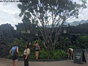 Le reigne de Kong (King Kong) - Island of Adventure - Universal Resort - Orlando