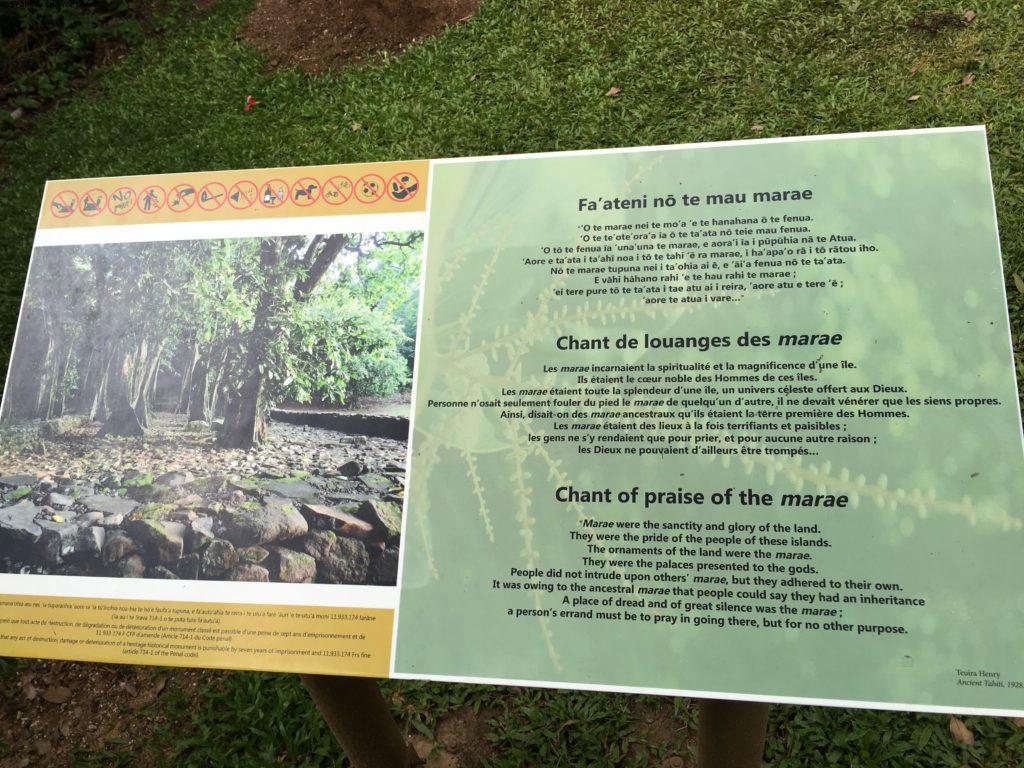 Conduite autour de Moorea - Notre 56eme croisière Atlantis (à bord de l'Oceania Marina)