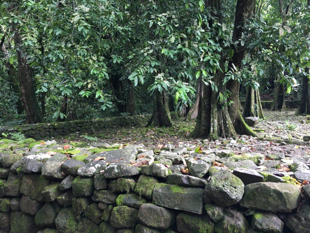 Conduite autour de Moorea - Notre 56eme croisière Atlantis (à bord de l'Oceania Marina)