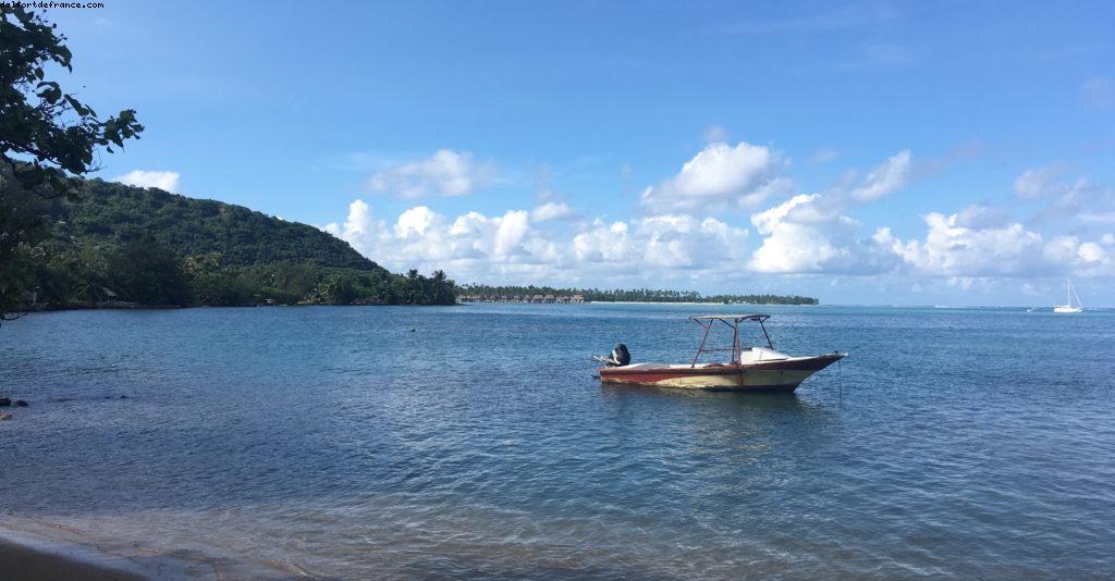 Conduite autour de Moorea - Notre 56eme croisière Atlantis (à bord de l'Oceania Marina)