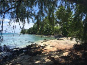 île de Rangiroa (Tuamotu) - Notre 56eme croisière Atlantis (à bord de l'Oceania Marina)