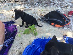 île de Rangiroa (Tuamotu) - Notre 56eme croisière Atlantis (à bord de l'Oceania Marina)