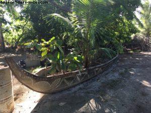île de Rangiroa (Tuamotu) - Notre 56eme croisière Atlantis (à bord de l'Oceania Marina)