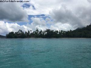 Observation des poissons à Bora Bora - Notre 56eme croisière Atlantis (à bord de l'Oceania Marina)