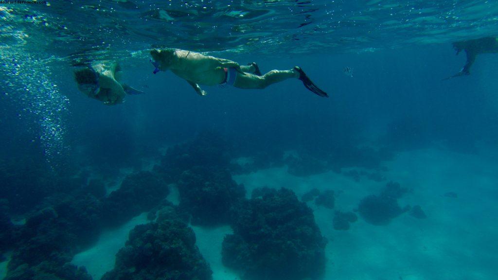 Observation des poissons à Bora Bora - Notre 56eme croisière Atlantis (à bord de l'Oceania Marina)