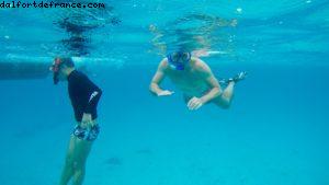 Observation des poissons à Bora Bora - Notre 56eme croisière Atlantis (à bord de l'Oceania Marina)