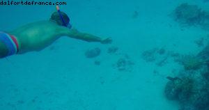 Observation des poissons à Bora Bora - Notre 56eme croisière Atlantis (à bord de l'Oceania Marina)