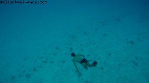 Observation des poissons à Bora Bora - Notre 56eme croisière Atlantis (à bord de l'Oceania Marina)