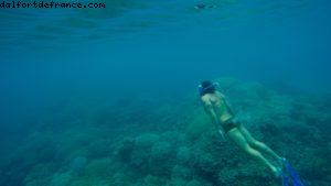 Observation des poissons à Bora Bora - Notre 56eme croisière Atlantis (à bord de l'Oceania Marina)