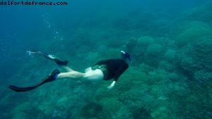 Observation des poissons à Bora Bora - Notre 56eme croisière Atlantis (à bord de l'Oceania Marina)