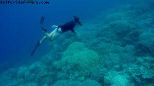 Observation des poissons à Bora Bora - Notre 56eme croisière Atlantis (à bord de l'Oceania Marina)