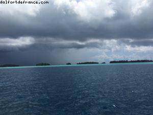 Observation des poissons à Bora Bora - Notre 56eme croisière Atlantis (à bord de l'Oceania Marina)