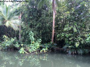 Balade en bateau sur la rivière Faaroa