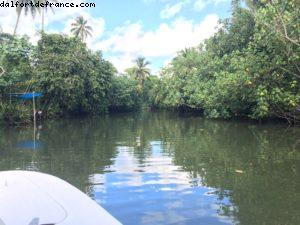 Balade en bateau sur la rivière Faaroa
