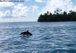 Raiatea - Notre 56eme croisière Atlantis (à bord de l'Oceania Marina)