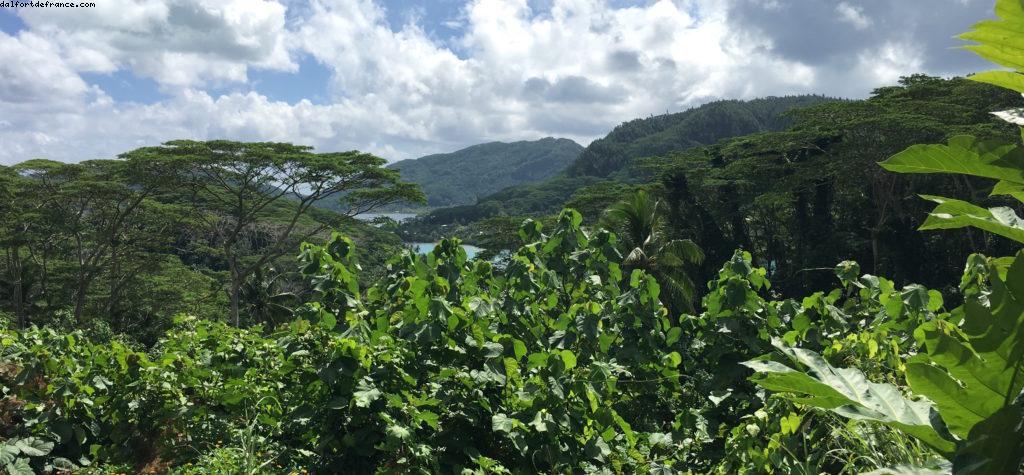 Conduite autour de Huahine - Notre 56eme croisière Atlantis (à bord de l'Oceania Marina)