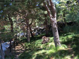 California Adventure - Parc Disneyland (Californie) 