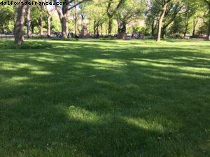 Central Park - New York City