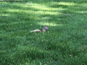 Central Park - New York City