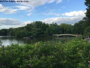Central Park - New York City