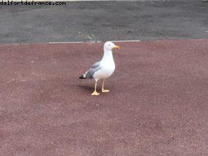 Monaco - Notre 59eme croisière Atlantis (à bord du Celebrity Equinox)