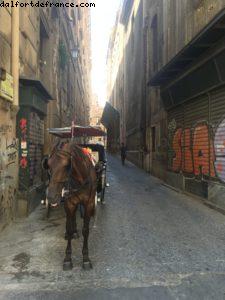 Palerme - Notre 59eme croisière Atlantis (à bord du Celebrity Equinox)