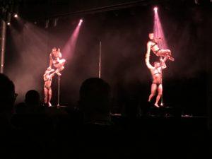 Le spectacle fantastique des Farfadais - Notre 60eme croisière Atlantis (à bord du Westerdam)