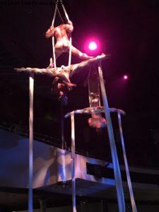 Le spectacle fantastique des Farfadais - Notre 60eme croisière Atlantis (à bord du Westerdam)