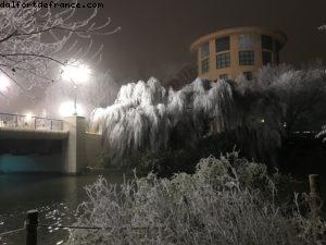 Happy New Year! - Sequoia Lodge - Disneyland Paris