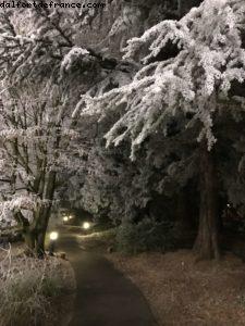 Happy New Year! - Sequoia Lodge - Disneyland Paris