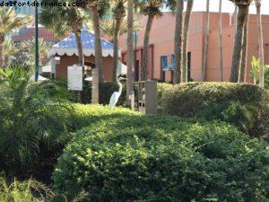 Hôtel Swan & Dolphin - Walt Disney World