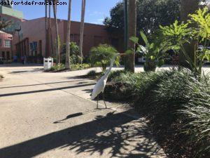 Hôtel Swan & Dolphin - Walt Disney World