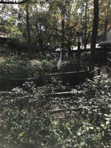 Magic Kingdom - Walt Disney World